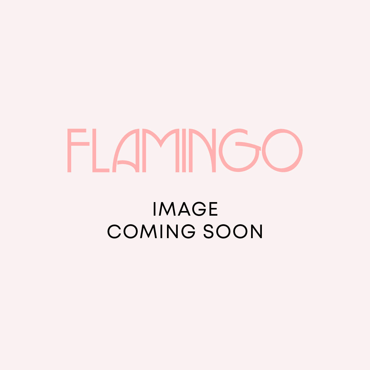 Flamingo Women's Swim A-line Skirt